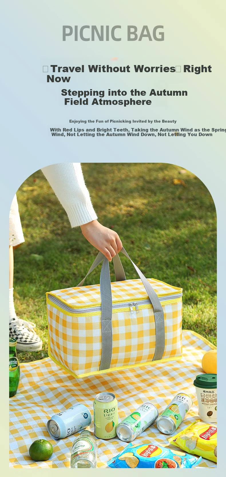 Beifute Insulated Picnic Bag [15L], Camping, Outdoor Travel, Portable Folding Cooler, Handheld Insulated Lunch Box 4