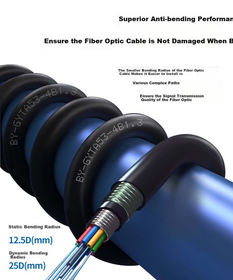 BOYANG GYTA53 Heavy Armor Buried Single-Mode Outdoor Optical Cable, 4-Core Optical Cable, Four-Core Twisted Pair Direct-Buried Armored Communication Fiber Optic Cable, 1 Meter, BY-GYTA53 6