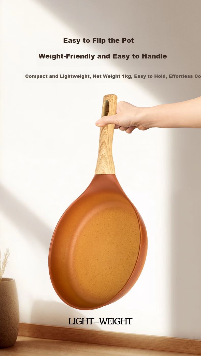 Amercook Non-Stick Cast Iron Skillet for Frying, Eggs, Steak, And Pancakes, Compatible with Gas And Induction Stoves 19