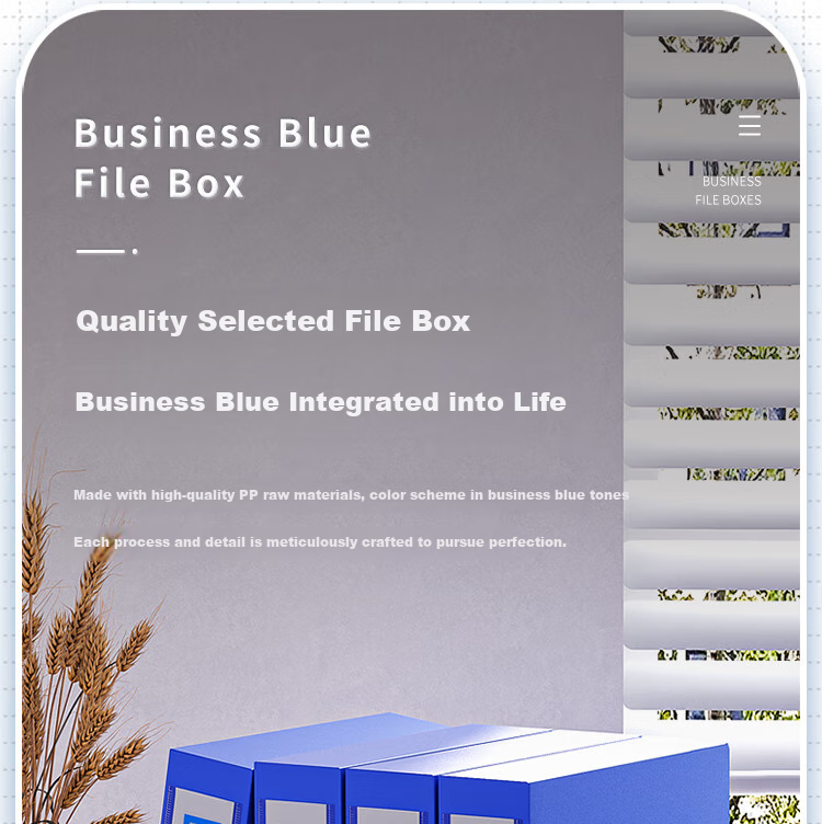 GuangBo 10-Pack 35mm Velcro A4 File Box/document Box/data Storage Box, Black A8029 3