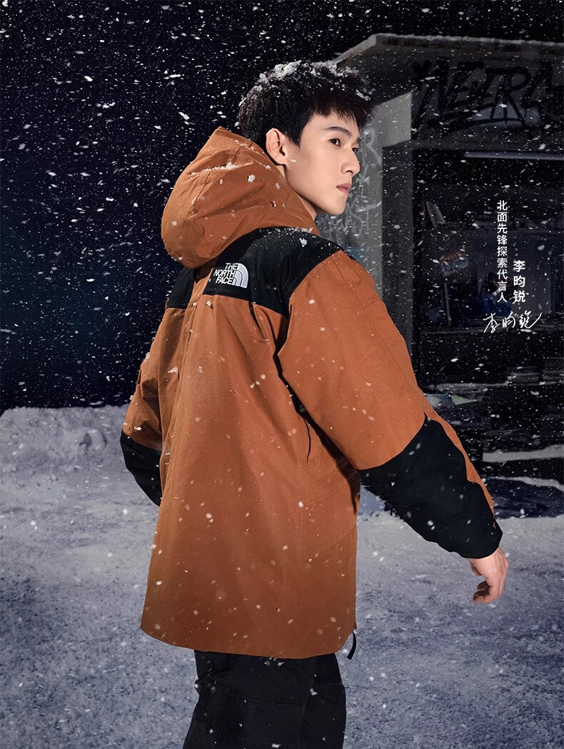 The North Face Men's New Mountain Down Jacket Outdoor Hiking Waterproof Warm Goose Down Coat 8FGH 3