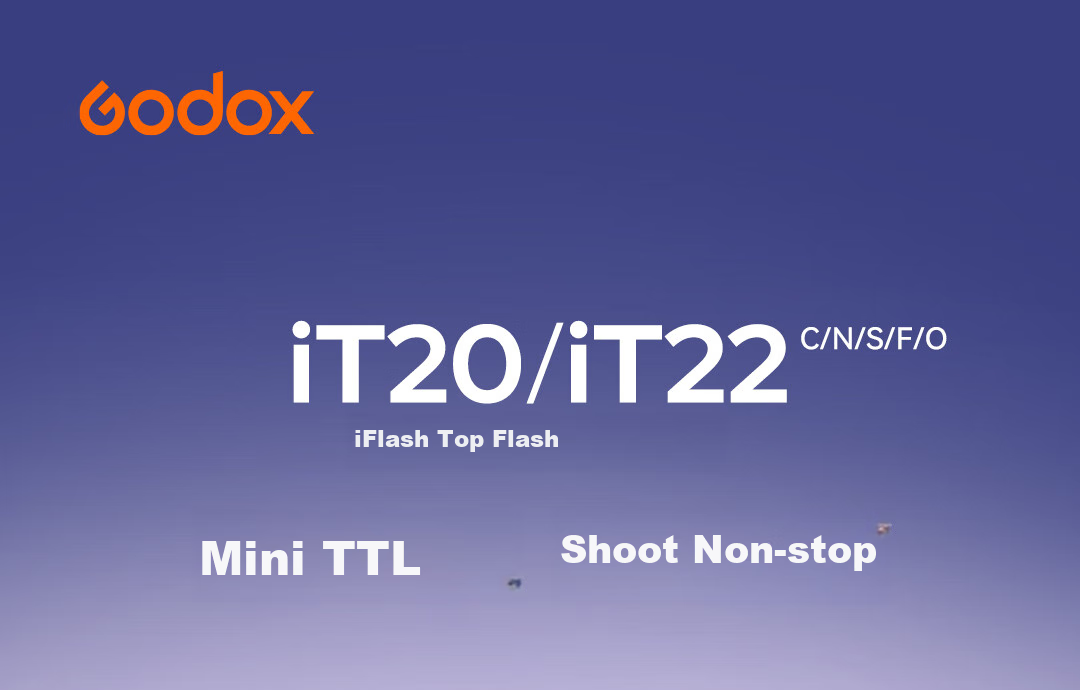 Godox IT20 Mini Flash Small Hot Shoe Mount On-Camera Flash Compact Cube Portable Outdoor Photography Portrait Digital Mirrorless Camera Silver Ricoh Edition 1