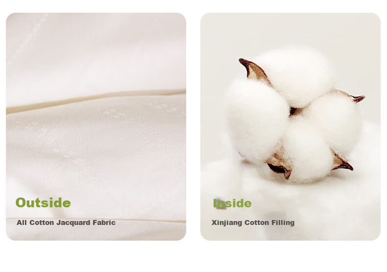 LOVO Luolai Class A Antibacterial And Anti-Mite All-Cotton Xinjiang Cotton Spring And Autumn Quilt, 5 Jin (2.5 Kg), 200*230cm, White 3