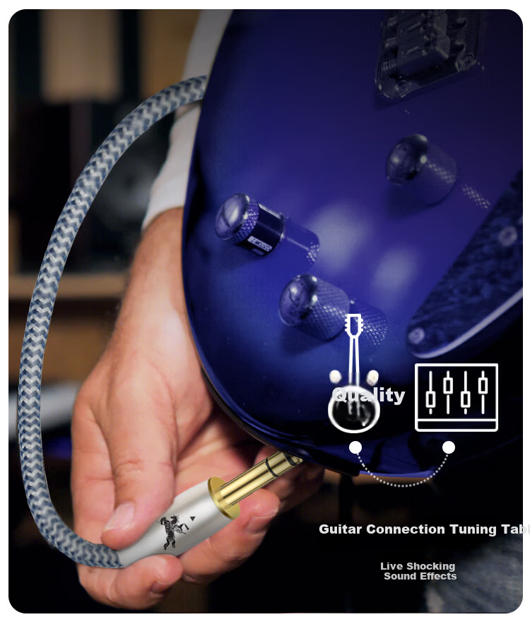 IMPETO Single Crystal Copper 6.5mm Male-To Audio Cable, 6.35 Large Two-Core Guitar Amplifier Cable, Sound Card Mixer Monitor Speaker Bass Connection Cable, IMP-2221 Meter 5