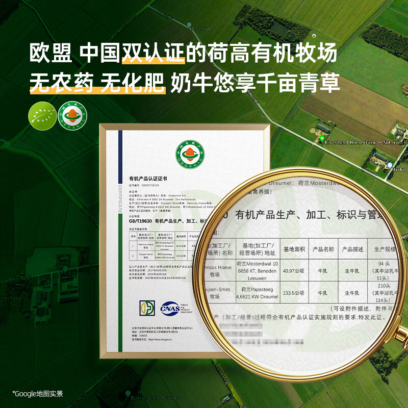 荷高（Globemilk）有机草饲全脂纯牛奶200ml*24 荷兰原装进口