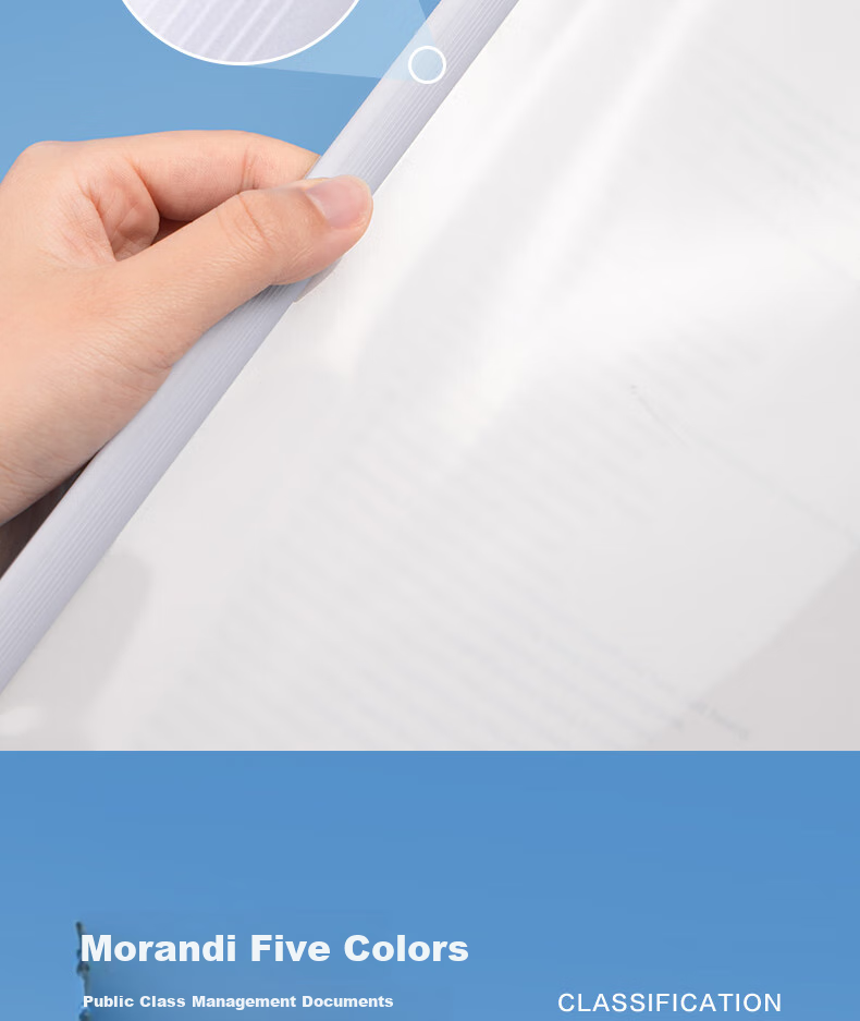 Deli 10 A4/9mm Sliding Bar File Folders, Triangular Bar Design, for Students' Exam Papers, Resumes, Reports, Business Meetings, Document Storage, Morandi Color Series PP654 12