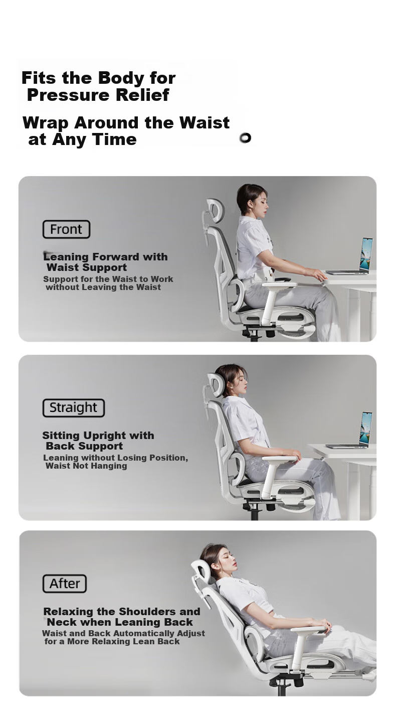 Qishengmingyuan LC-1895 Ergonomic Office Chair with Dual Backrest, Lumbar Support And Footrest for Computer Workstation And Gaming 12