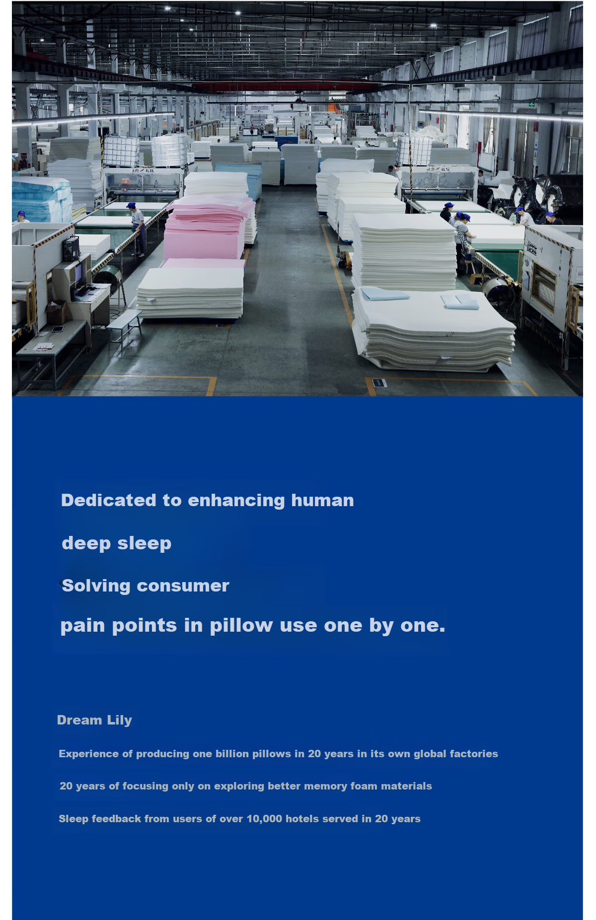 MLILY Hotel Zero Pressure Pillow, Cervical Spine Support, Sleep Aid, Slow Rebound Deep Sleep Memory Foam Pillow, Gift Box Set 23
