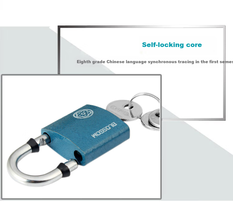 BLOSSOM Padlock, Drawer Lock, Toolbox Lock, Student Dormitory Cabinet Lock, Electric Meter Box Lock, Small Lock BC2925 Blue 25MM 6