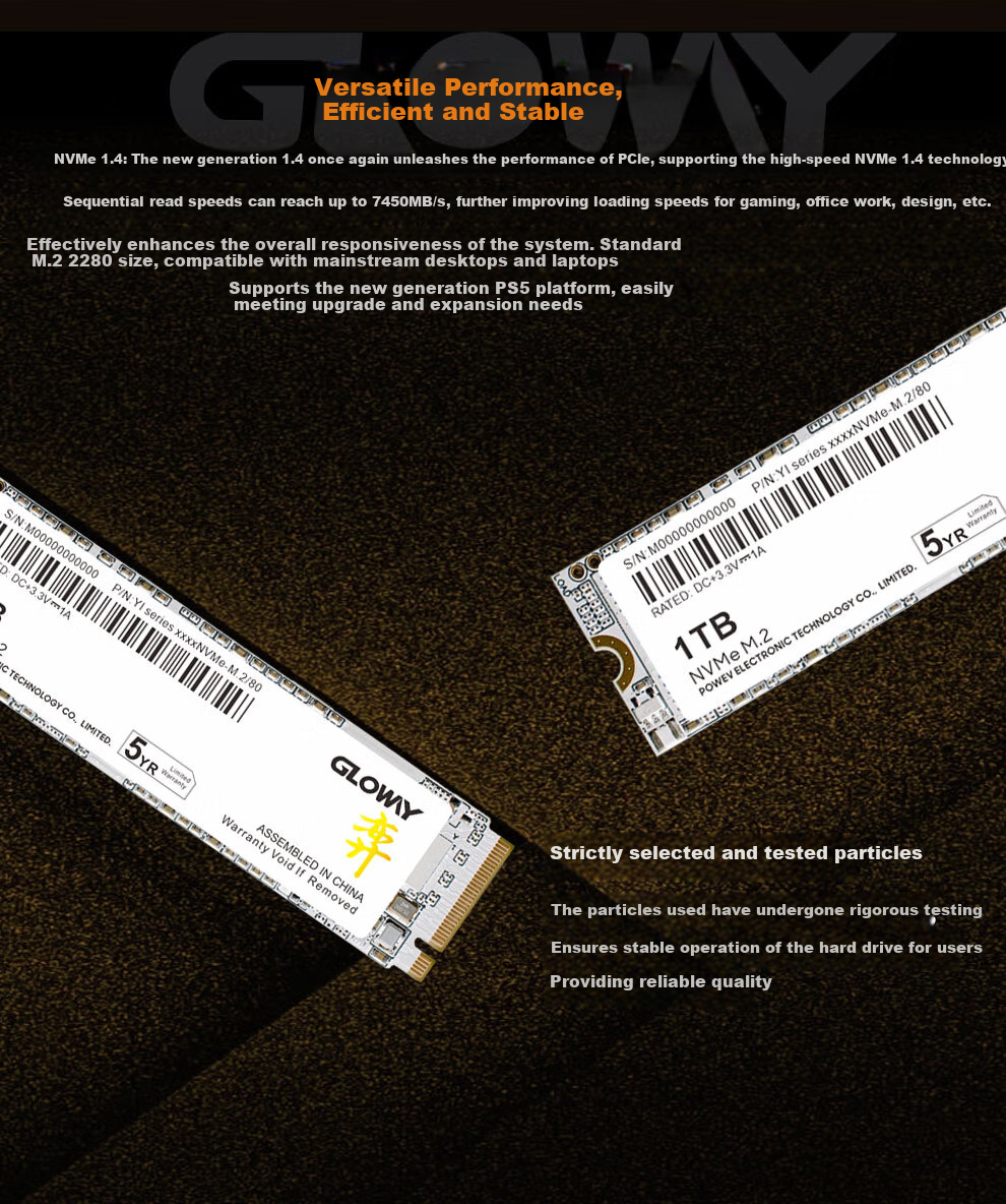 Gloway 1TB SSD, M.2 Interface (NVMe Protocol), PCIe 4.0x4, 7450MB/s, Yangtze Memory TLC Particles, Bo Series 4