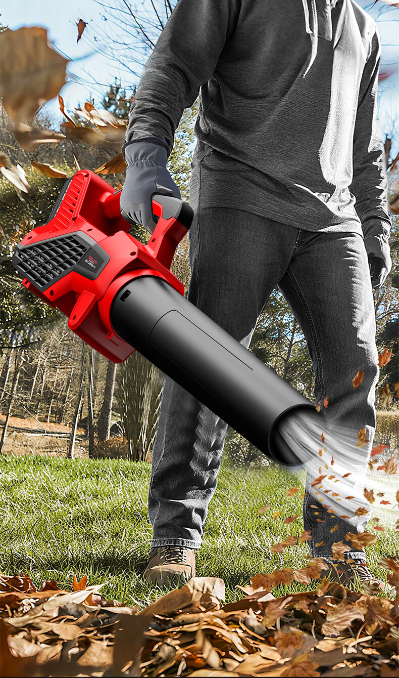 DELIXI ELECTRIC Cordless Blower High-Power Industrial Wireless Dust Blower Lithium Battery Storm Gun 6.0Ah 7