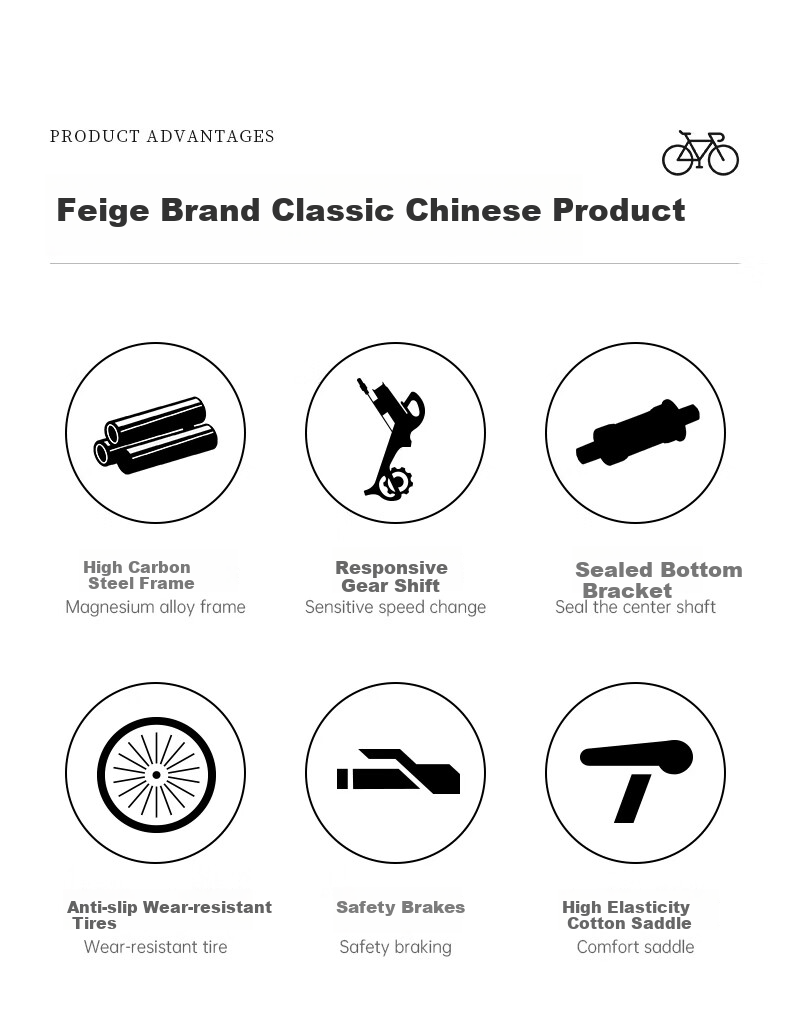 FG FLYING PIGEON Commuter Bicycle, 26-Inch Single-Speed, for Men And Women, Adult And Youth, City Leisure Bike 3