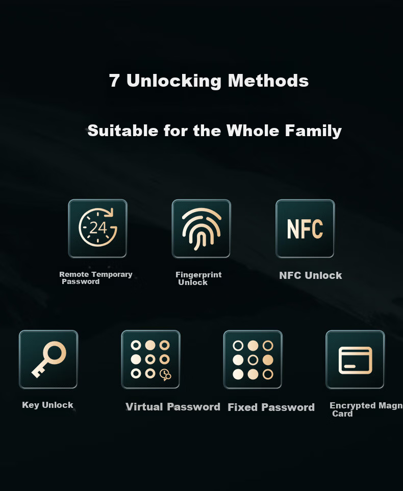 BECK Smart Door Lock, Top Ten Brands, Home Fingerprint Lock, Entrance Password Lock, Anti-Theft Intelligent Electronic Lock, V10W 2
