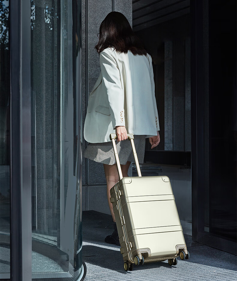 90 Points 20-inch Aluminum Magnesium Alloy Trolley Case Metal Carry-on Luggage Unisex High-end Business Password Lock Silver 9