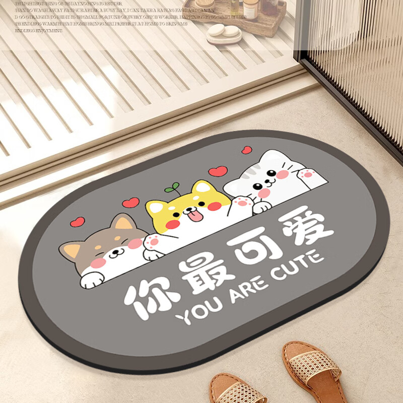 Simple American Style Bathroom Non-Slip Water Absorption Mat Toilet Entrance Quick-Dry Floor Mat 40*60cm