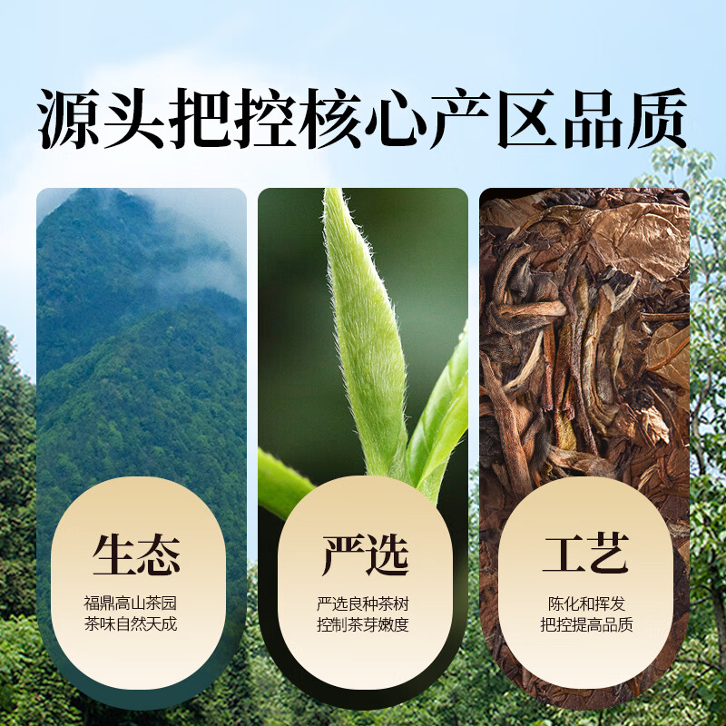 贡苑茶叶白茶福建福鼎寿眉一级经典老树白茶太姥正山原产礼品包装350g