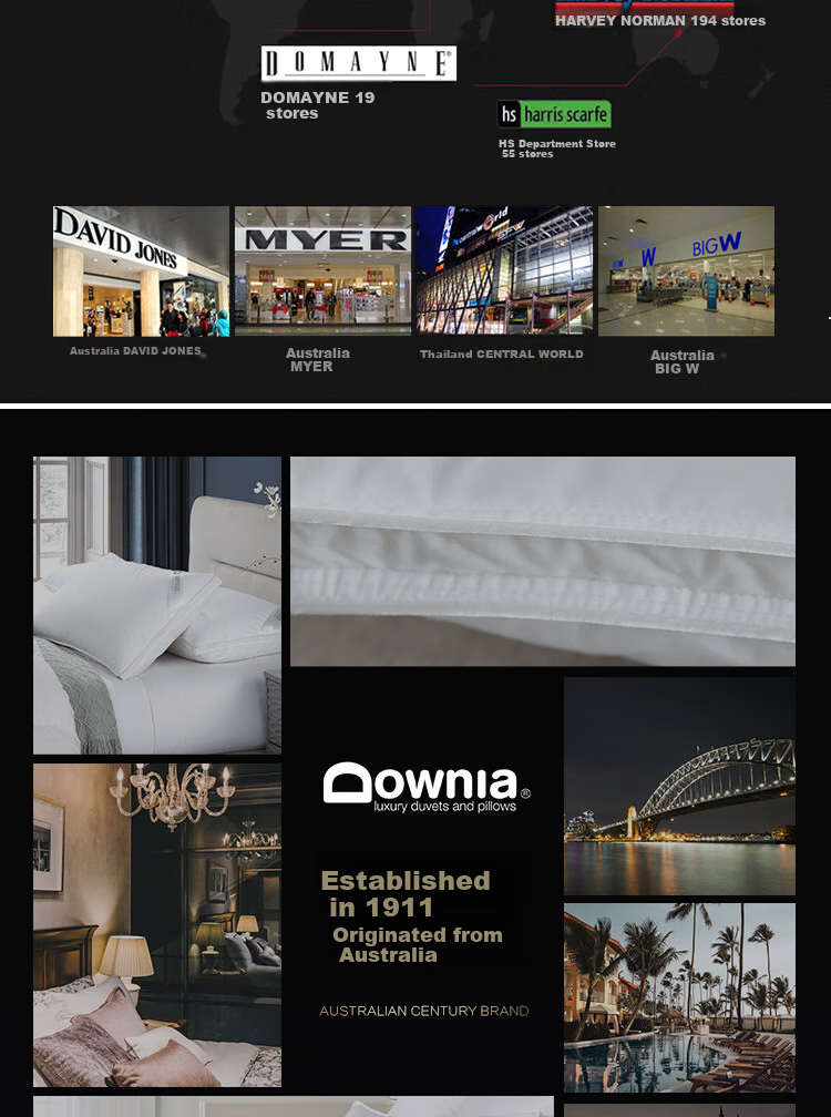Downia Australian Pillow, Five-Star Hotel Upgraded Version, 95% White Goose Down Pillow Core, 48*74CM 14