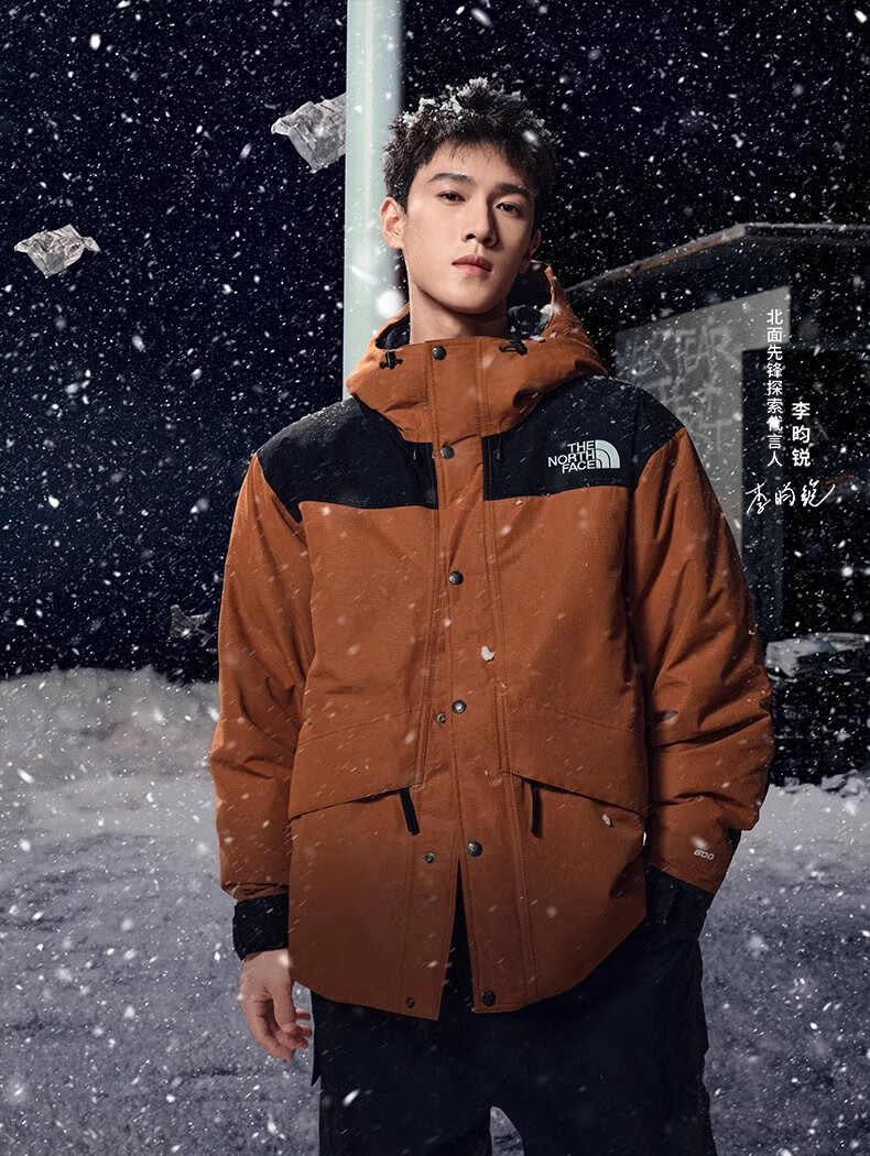The North Face Men's New Mountain Down Jacket Outdoor Hiking Waterproof Warm Goose Down Coat 8FGH 1