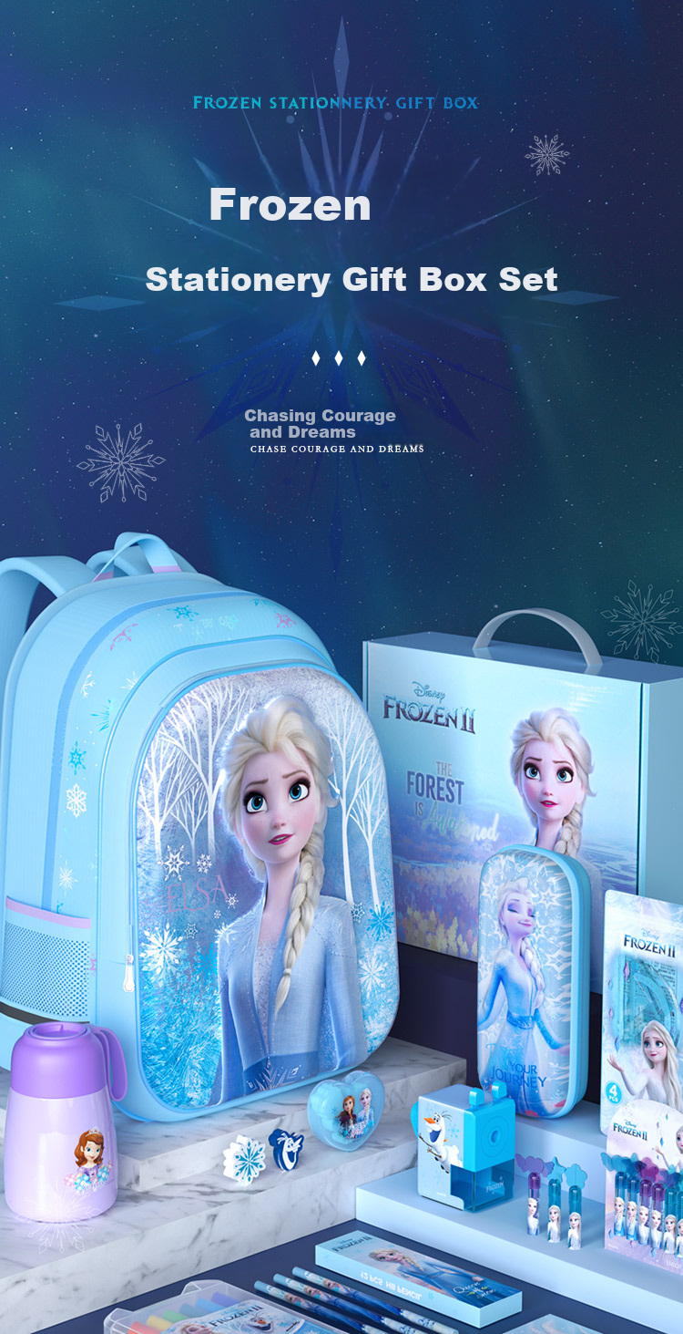 Disney Stationery Set, Elsa Princess Drawing Gift Box, Children's School Supplies And Toys, Graduation Gifts for Girls, Birthday Presents, Kindergarten Graduation Gifts 2
