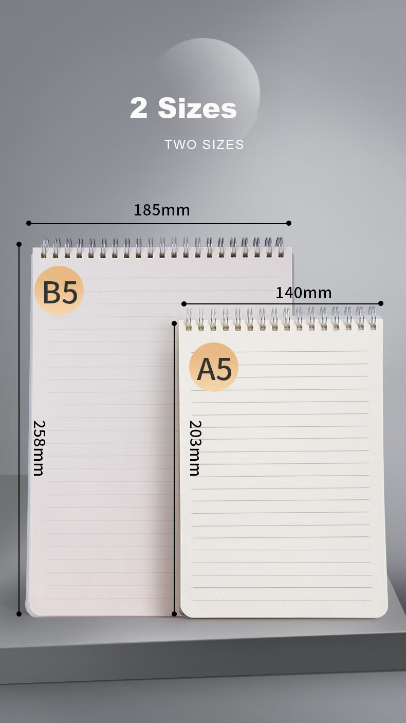 M&G Stationery A4 Notebook Large Soft Copy Loose-Leaf Spiral-Bound Journal Student Record Book English Notebook Study Supplies Lined Paper 1 Book XA4810 Exam Essential 4