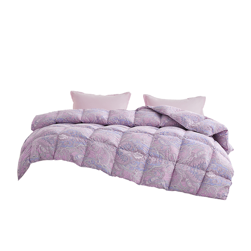 BEYOND Home Textiles, down Comforter, Antibacterial Washable 95% White Goose Down Duvet, Winter Quilt Insert, 900g Filling, 200*230cm