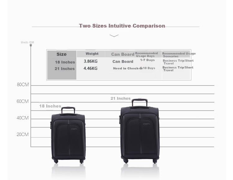Diplomat DEF-1551G Suitcase with Business Spinner Wheels for Commercial Air Travel, Black, 16 Inches 3