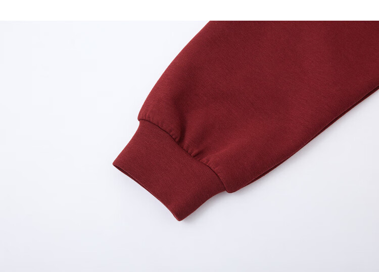 Demana 350G Brushed Air Layer Winter Warm Korean Style Embroidered Long Sleeve Loose Sweatshirt for Women 3