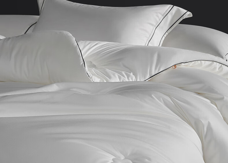Mercury Home Textiles Quilt 80s Cotton 100% Australian Wool Quilt Class A Antibacterial Winter Warm Quilt Core 200cm×230cm 3