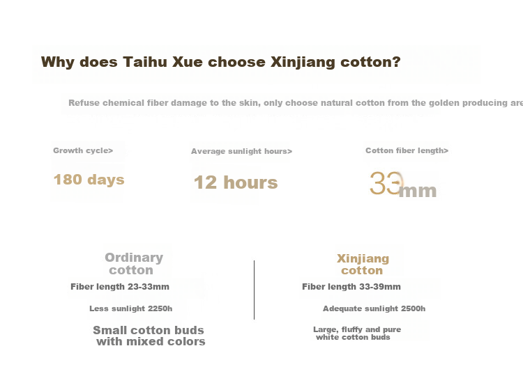 Taihuxue 100% Mulberry Silk Air Conditioning Quilt Gift Box, Early Summer Quilt, Silk Net Weight 500g, Class A All-Cotton Anti-Mite, 1.5*2.15m 10