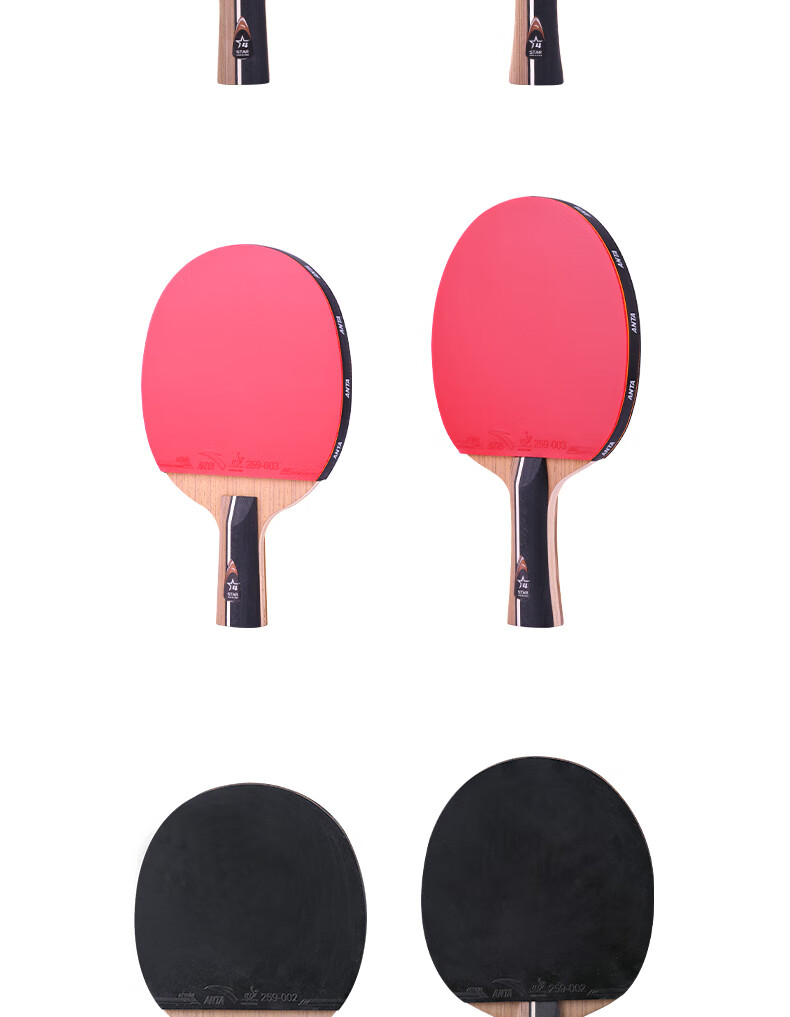 ANTA 4-Star Table Tennis Racket P401 Shakehand Style (Jingcang Fast Delivery + 6 Balls + Racket Case) 1