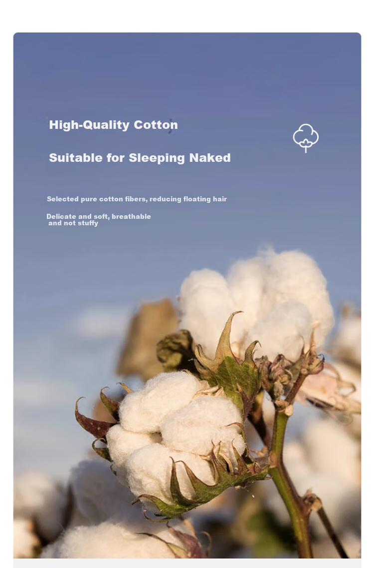 Wuyinliangpin 100% Pure Cotton Class A Hotel Hygiene Bedding Set with Pillowcases And Duvet Cover for Business Trips And Travel, Double Sleeping Bag 180x210cm 3
