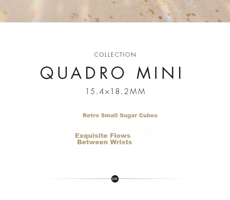 Daniel Wellington DW Women's Vintage Star Ring Small Square Quartz Watch Gift Box Birthday Present for Girlfriend DW731 2