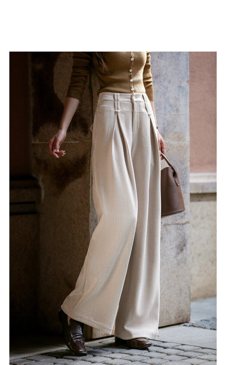 Demana Pear-Shaped Autumn Warm Plush Chenille Pleated Elegant Petite Wide-Leg Women's Casual Pants 2