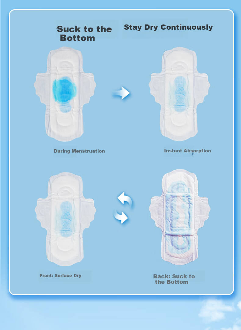 Anerle Sanitary Napkins Day And Night Use with Blue Core, Quick Absorption, 245mm*14+275mm*6 [Brand Direct Supply, Safe Quality] 5