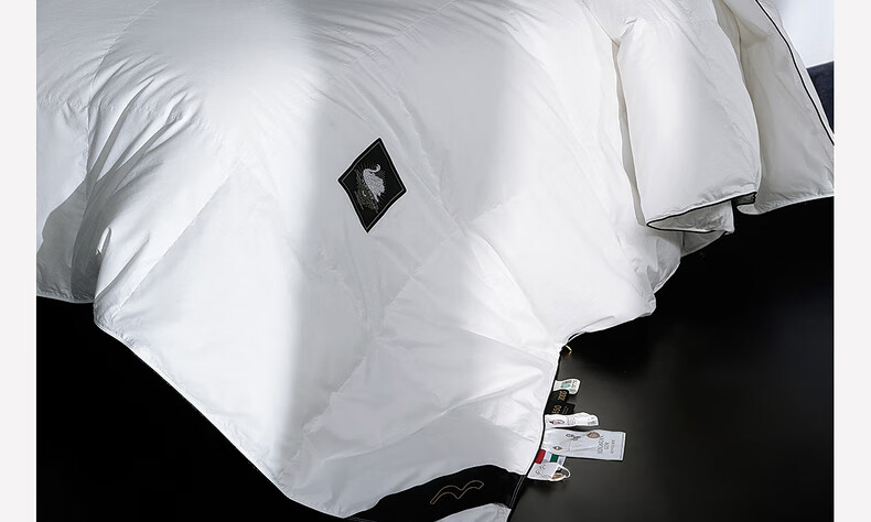 Mercury Home Textiles 95% White Goose Down Quilt Winter Thickened Warm Double Down Comforter 200×230cm-420g 28