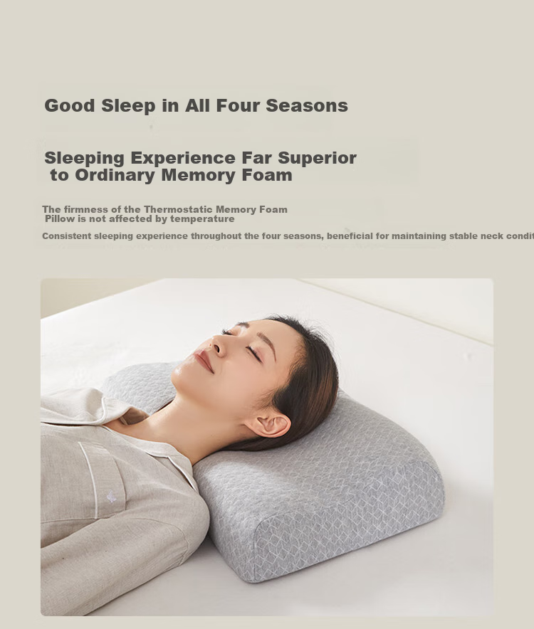 AiSleep Type B Adult Cervical Pillow, Memory Foam Pillow Core, Sleep Pillow, Neck Memory Pillow 2
