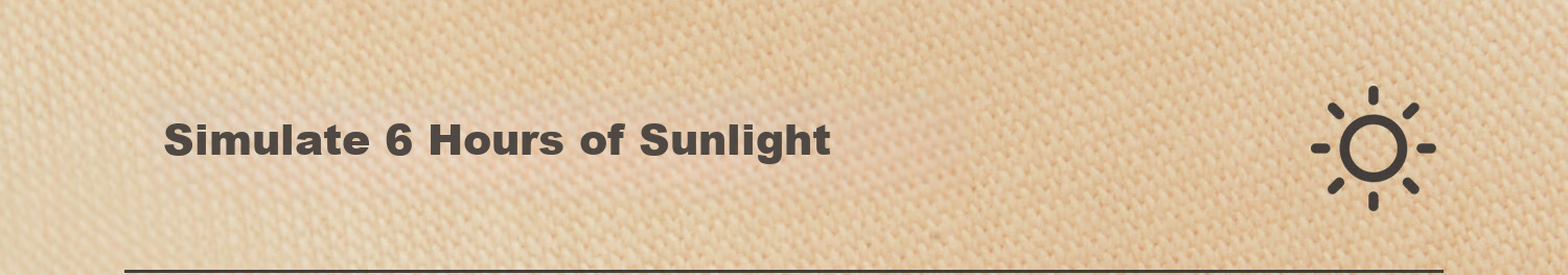 Sujiliangpin Tummy Control And Butt-Lifting Pants for Women, Powerful Belly Slimming, Autumn Thin Underwear, Butt-Lifting Seamless Shaping Pants, Mid-Rise Yoga Sports Panties 57