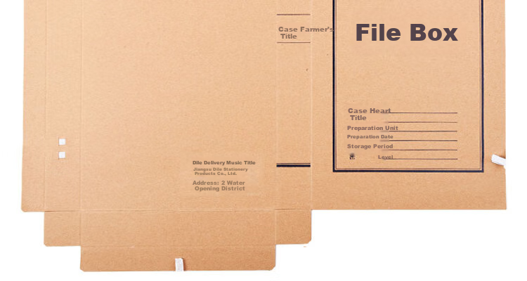 DiLe Premium Series Acid-Free Kraft Paper File Box, Large Capacity A4 Document Storage Box, 2cm Office Supplies, Pack of 10, 1322 13