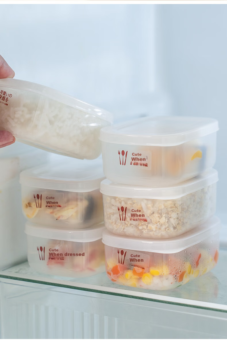 CAIZHI Rice Storage Containers, Refrigerator Food Keepers, Storage Boxes, Lunch Boxes, Bento Boxes, Microwave-Safe, Set of 6, CZ6628 19