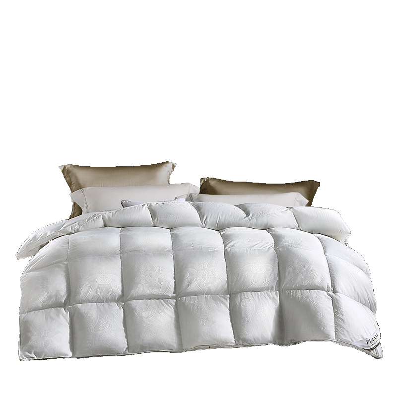 FUANNA down Comforter, 95% White Goose Down, Antibacterial Duvet, Winter Quilt, 1000g Filling, 203*229cm, Xiangshe