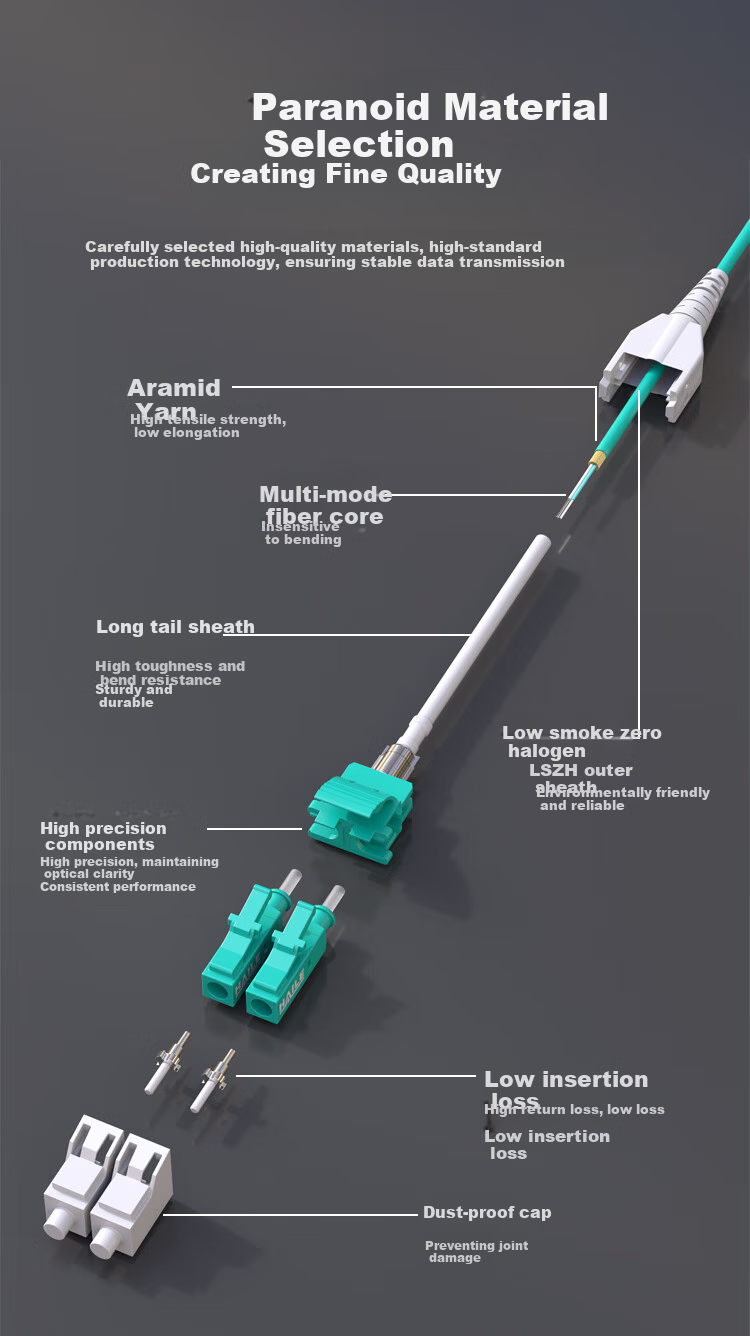 HAILE 10 Gigabit Fiber Optic Patch Cable LC-LC Multi-Mode OM3 Single-Mode Dual-Core Branching Cable Low Smoke Zero Halogen LSZH Low Loss A-Grade Fiber Core 10 Meters HT-2LC 2