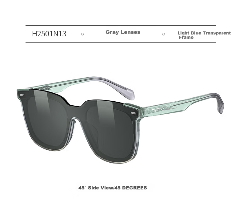 HELEN KELLER Sunglasses for Men And Women, Non-Polarized HUD Car LCD Driving Anti-UV H2501N30 11