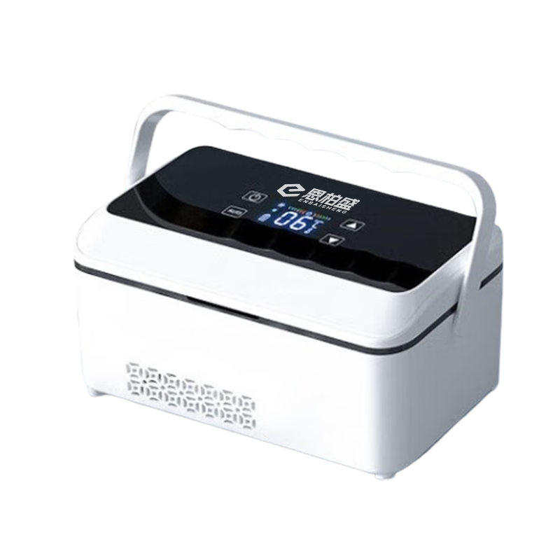 Enbosheng Insulin Cooler Box, Portable Rechargeable Car Mini Refrigerator with Battery, Medicine Temperature-Controlled Box, Large Capacity, Portable to Carry