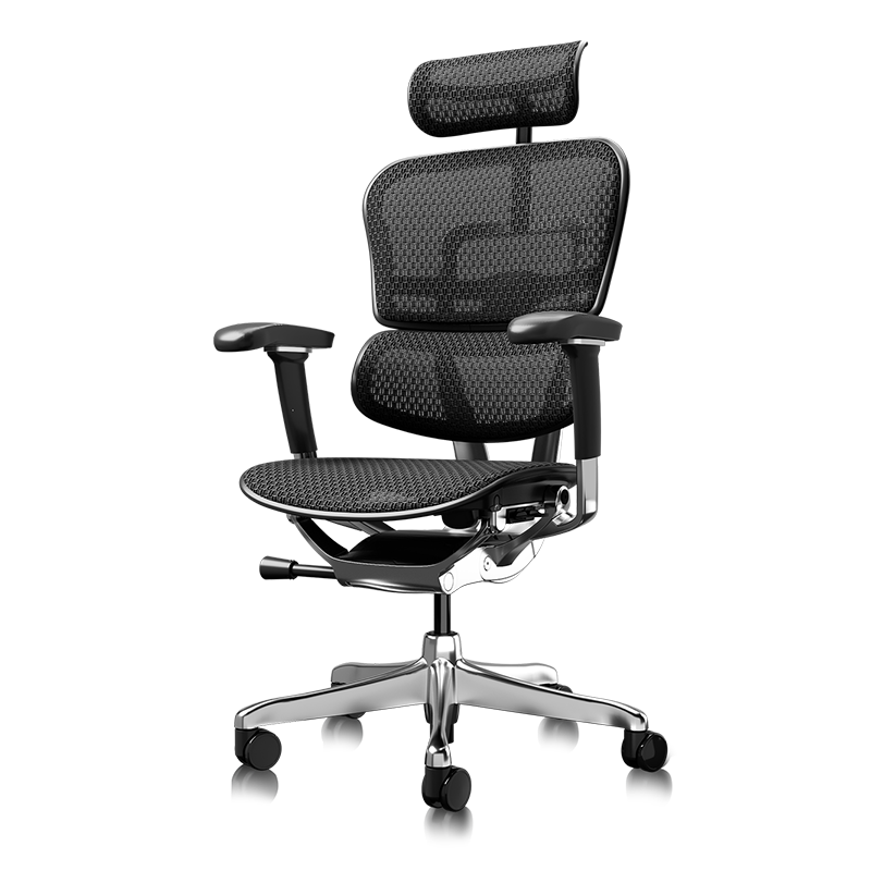 Ergonor Baoyou Jinhao E2 Pro Flagship Ergonomic Office Chair Computer Chair Black Mesh
