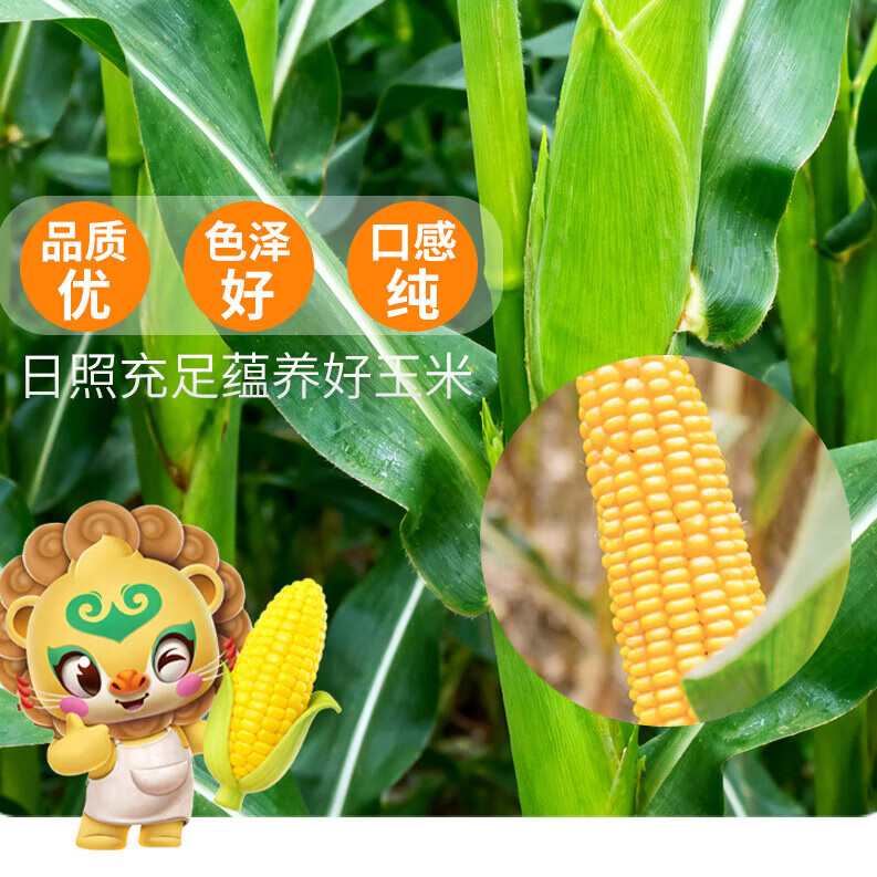 古福 玉米淀粉 260g  烘焙原料 烹调勾芡食用  厨房烹饪 配料干净 