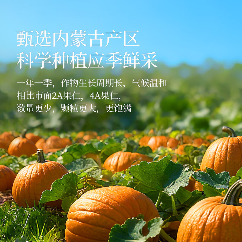 原尚工房 原味生南瓜子仁500g无壳免剥南瓜籽仁休闲零食坚果炒货干果年货