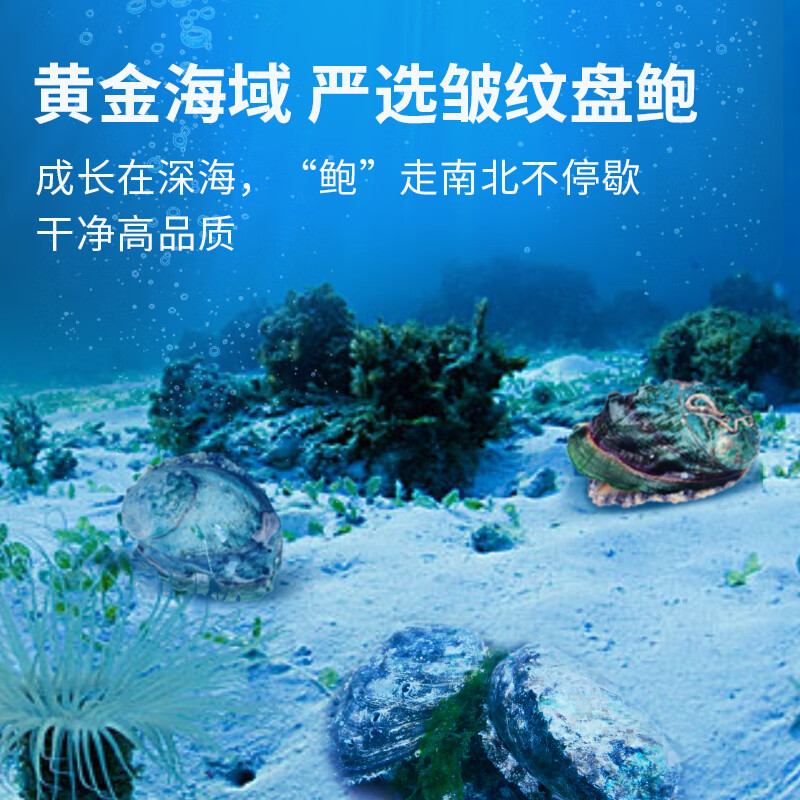 獐子岛 冷冻鲍鱼300g 6粒 去脏去膜红烧料包 火锅煲汤海鲜水产生鲜食材