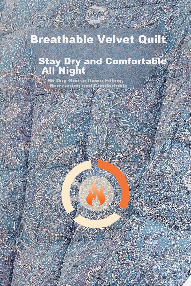 BEYOND Home Textiles, down Comforter, Antibacterial Washable 95% White Goose Down Duvet, Winter Quilt Insert, 550g Filling, 150*210cm 7