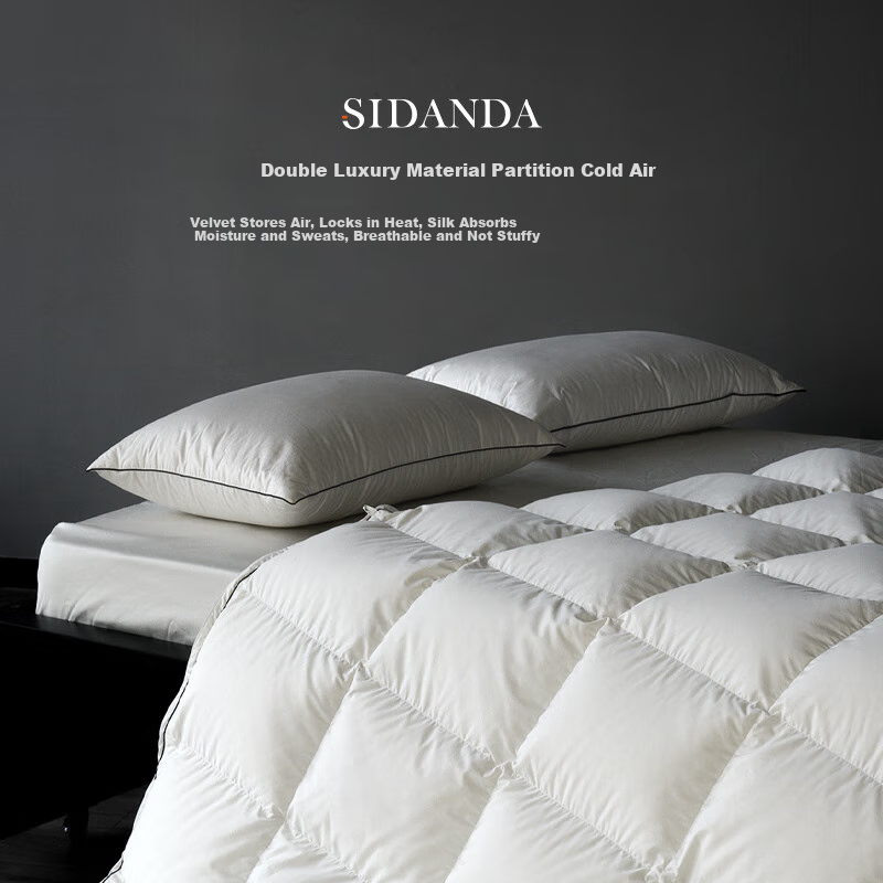 SIDANDA Children's Duvet Set: 95% White Goose Down + 100% Mulberry Silk, All-Cotton Winter Comforter, 200*230cm