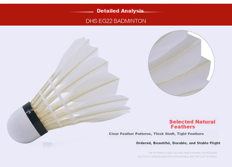 DHS Badminton Shuttlecocks, Beginner Practice Training, Affordable 6-Pack Per Tube 4